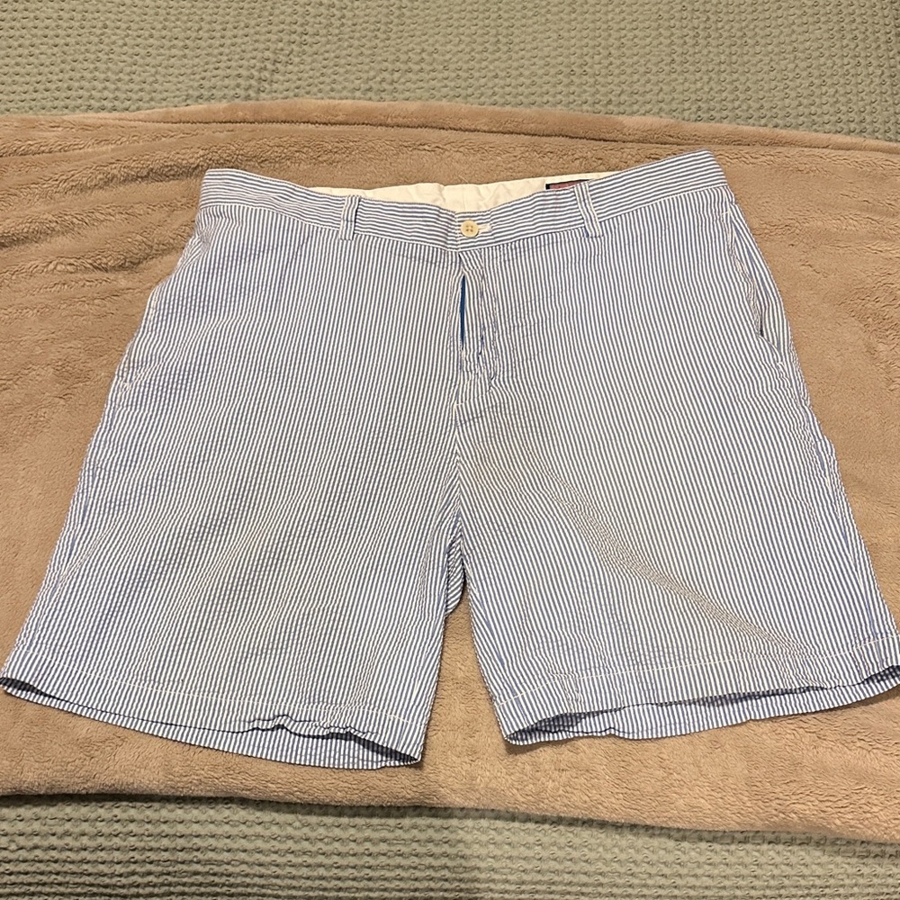 Vineyard Vines Blue and White Striped Men's Shorts